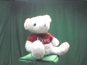 0 Degrees _ Picture 9 _ White Teddy Bear Wearing Red Sweater.png